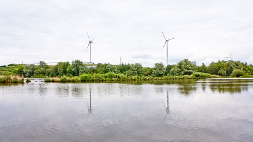 Hamburger Jahr der erneuerbaren Energien