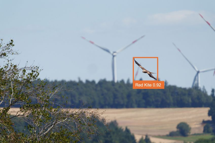 Artenschutz und Erneuerbare in Einklang bringen