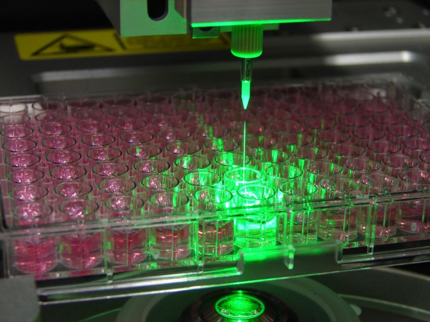 Composites Convention, CFK Valley