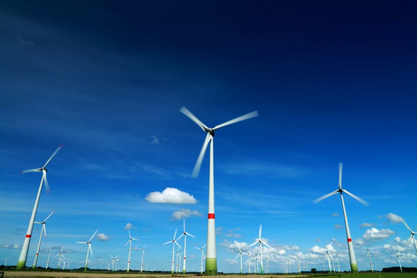 Naturschutz und Energiewende voranbringen