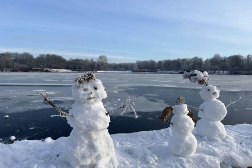 Editorial Wärme/PV Januar