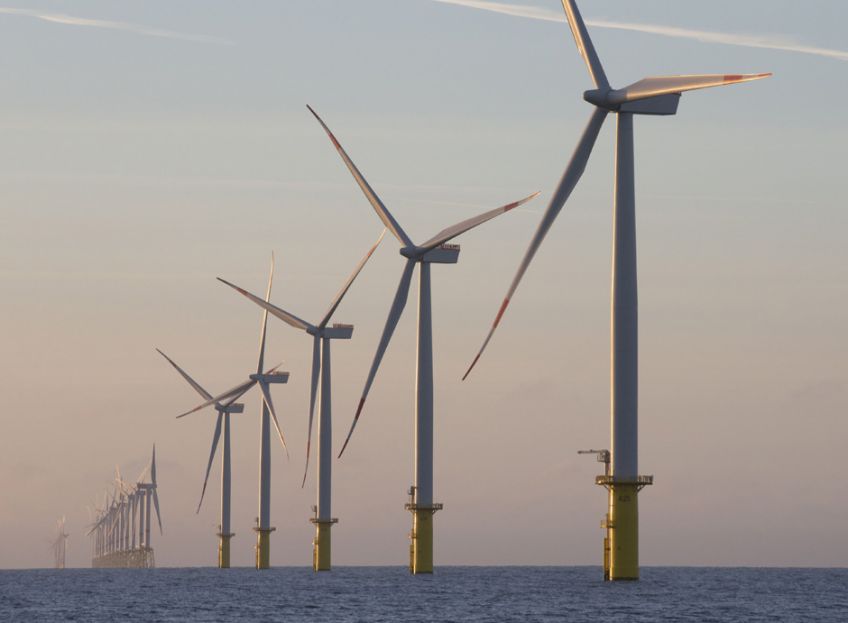 Auftrieb für die Windkraft