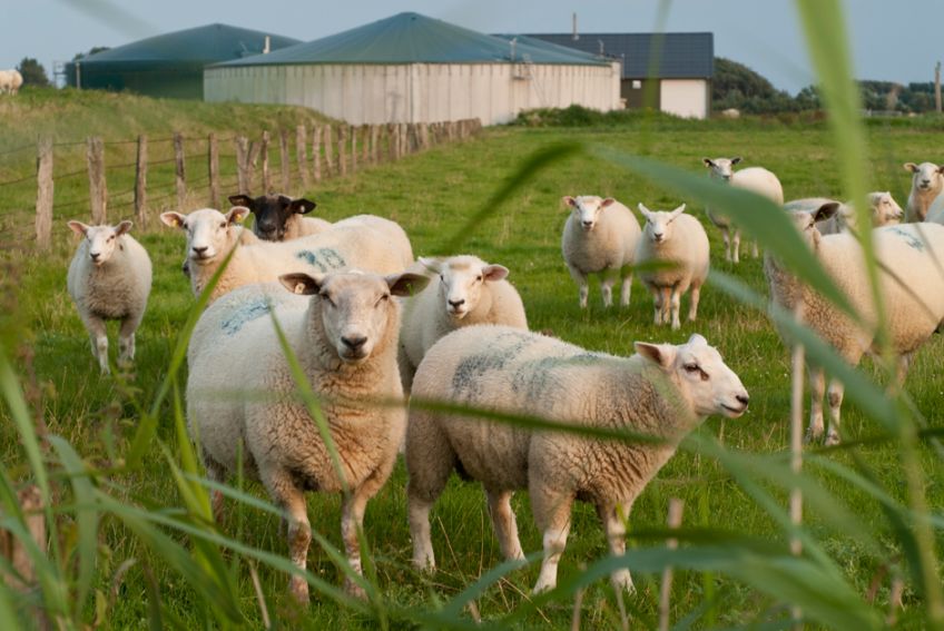 Energielandschaften Norddeutschland