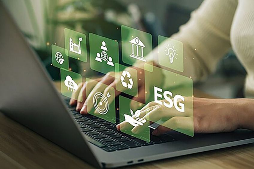 Nachhaltigkeitsmanagement erfolgreich umsetzen: