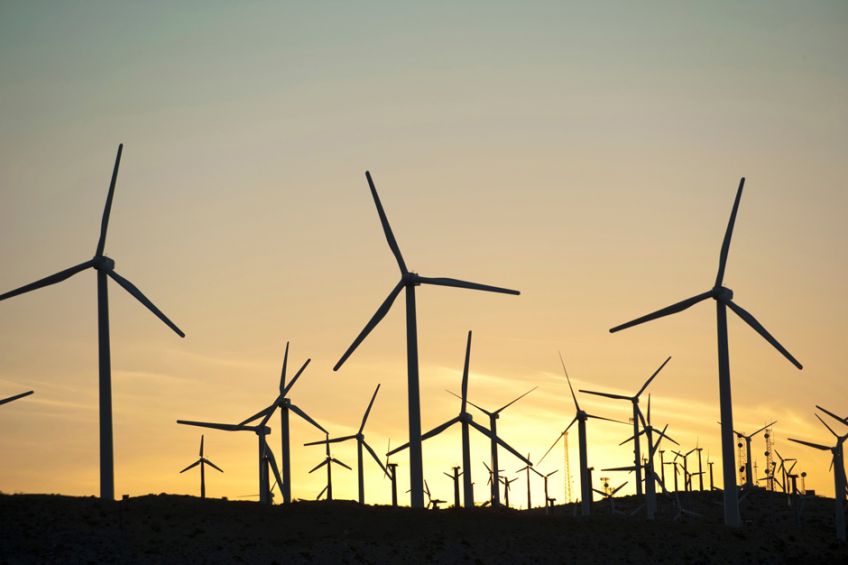 Ökostrom in Argentinien: Ein Aufsteiger im Profil