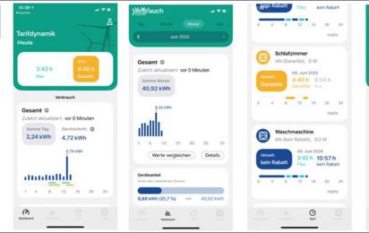Smart sparen mit dem Smart Meter Cockpit Anreize für Stromkunden schaffen