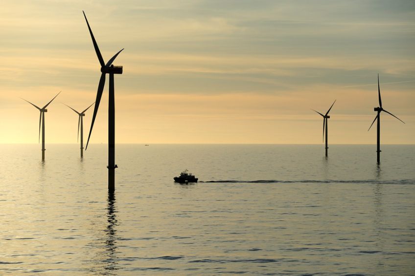 Offshore-Windkraft schafft wichtige Wertschöpfung in Deutschland -
