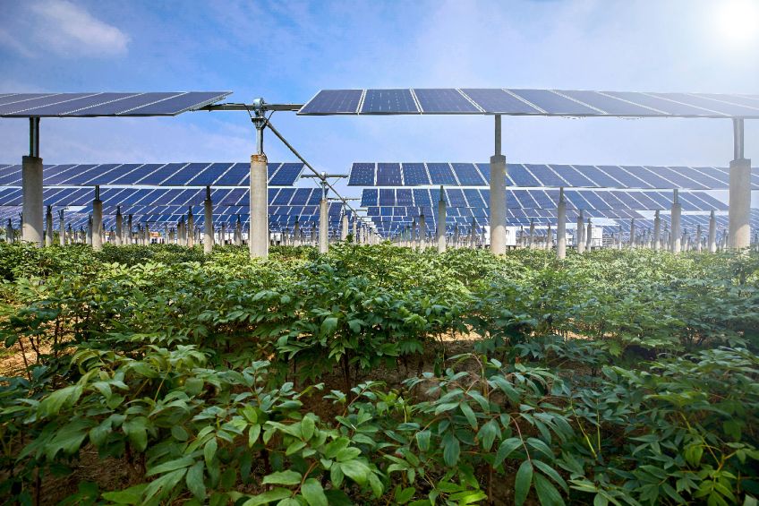 Solarpotenziale bundesweit verstärkt heben