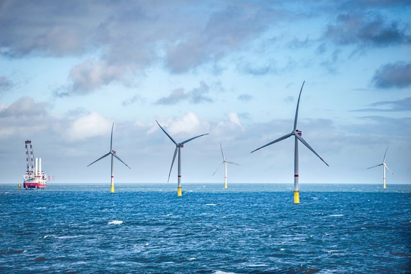 WINDEA Offshore Rescue Jahresbericht 2025: